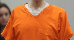 Bryan Kohberger at his sentencing hearing.