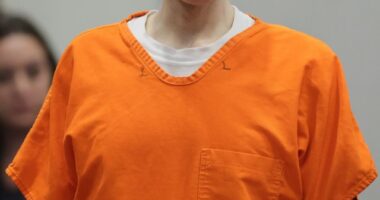Bryan Kohberger at his sentencing hearing.