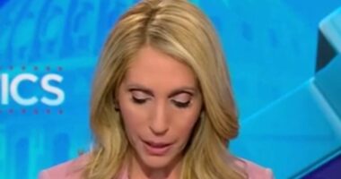 CNN host Dana Bash refuses to read Trump's quote as he attacks network