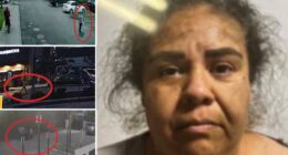 California illegal immigrant Yuriana Calderon faked ICE 'kidnapping' for fundraiser scam and to 'smear' federal agents: DOJ