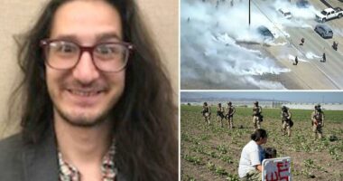 California professor Jonathan Anthony Caravello arrested for allegedly tossing tear gas canister at ICE agents during raid on marijuana farm