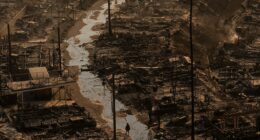 California wildfire victims face uphill battle as corporations and investors swoop in