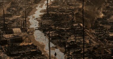 California wildfire victims face uphill battle as corporations and investors swoop in