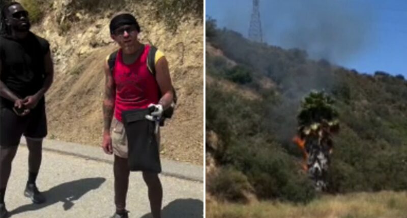 Californians confront man accused of starting LA fire until police make arrest