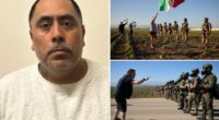Child predator among more than 300 arrested during ICE raid on cannabis farm