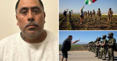 Child predator among more than 300 arrested during ICE raid on cannabis farm