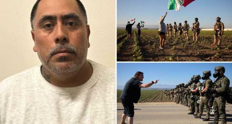 Child predator among more than 300 arrested during ICE raid on cannabis farm