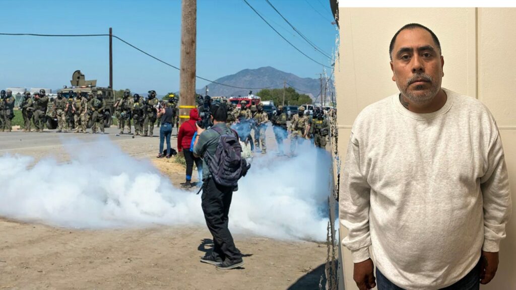 Child predator among more than 300 nabbed in cannabis farm ICE raid, largest of Trump's second term