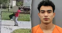 Chilling video allegedly shows illegal migrant dragging screaming sex trafficking victim back to captivity