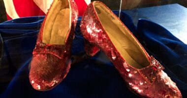 Collectors are snapping up anything and everything at auctions — like the ruby slippers from 'Wizard of Oz' for $32M
