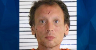 Cops: Iowa Man Beat Grandfather With Golf Clubs, Sprayed Wasp Killer in His Wounds
