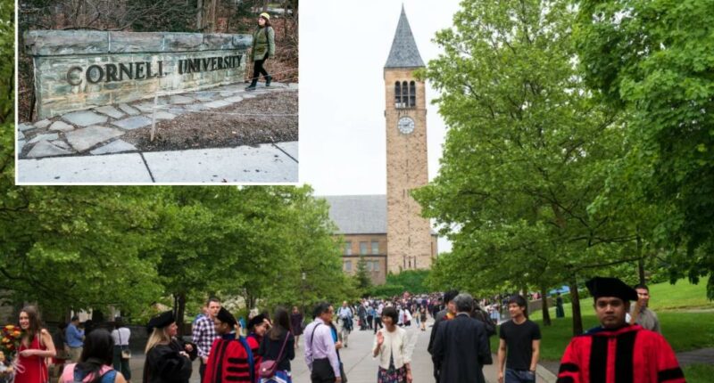 Cornell University sued by America First Policy Institute for DEI discrimination