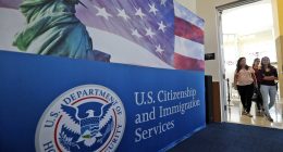 Corporate giant applies for 6,000 worker visas amid mass layoffs