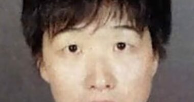 Mugshot of Chunmei Li, a nanny accused of abusing children.
