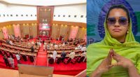 Court directs senate to reinstate Senator Natasha