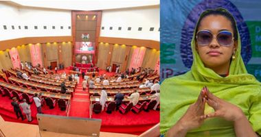 Court directs senate to reinstate Senator Natasha