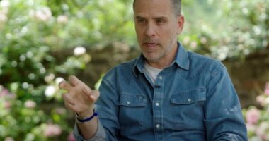 Man in denim shirt speaks outdoors.