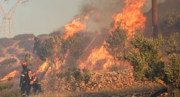 Firefighters battling a wildfire.