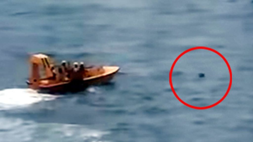 Cruise passengers recall sounds heard as little girl fell overboard