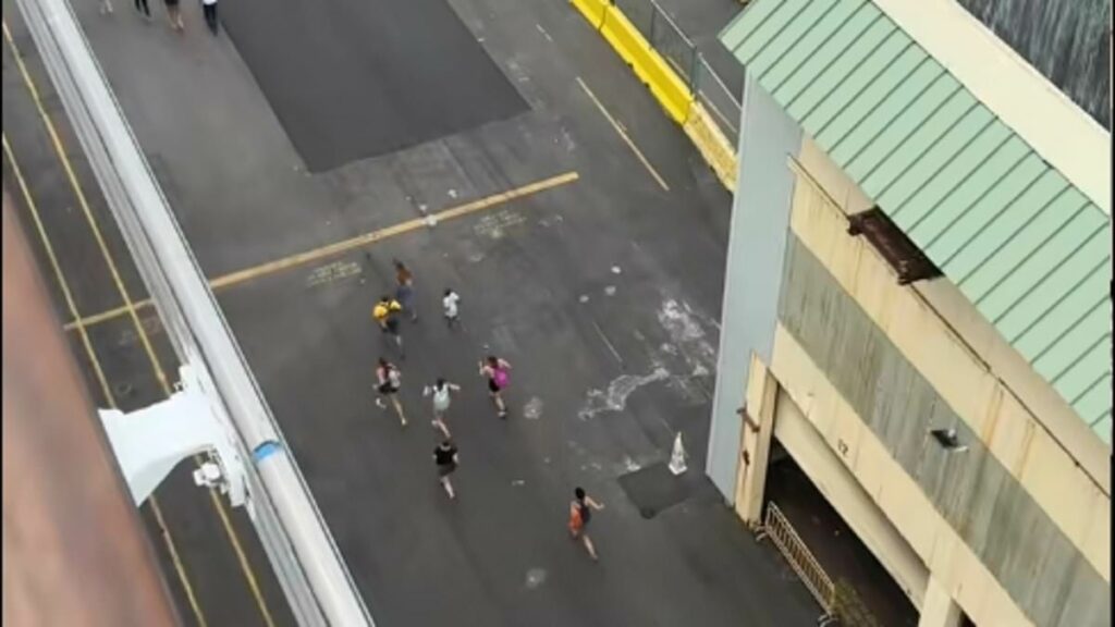 Cruise ships are leaving passengers STRANDED amid tsunami fears