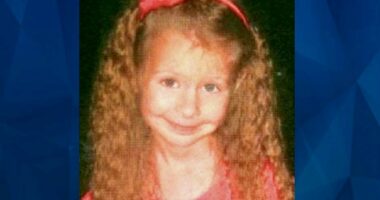 DAD’S DESPERATE SEARCH: IS TIK TOK GIRL MISSING AVA GRACE, 6?