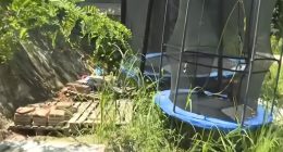 Overgrown yard with a trampoline and stacks of bricks.