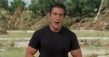 David Muir BEATEN in vital ratings metric by rival