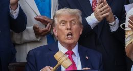 Democrats call for violence to counter Trump agenda