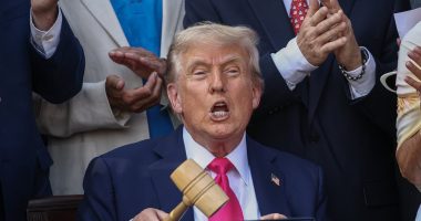 Democrats call for violence to counter Trump agenda