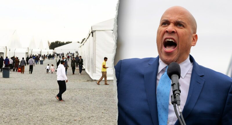 Democrats fume over new plan to house illegal migrants in New Jersey, Indiana military bases