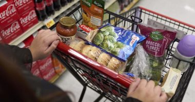 Democrats pick fight over how GOP’s SNAP change hits states