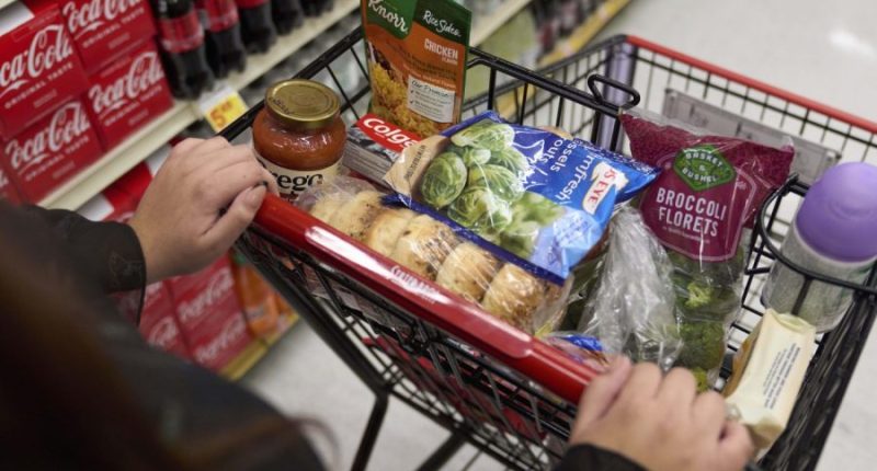 Democrats pick fight over how GOP’s SNAP change hits states