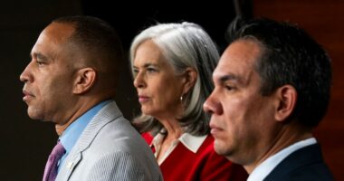 Democrats ramp up town hall offensive in GOP districts with focus on Epstein