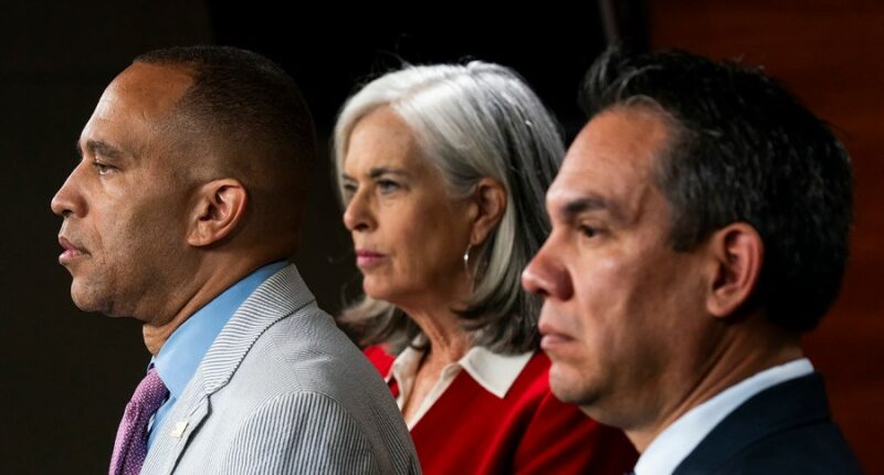 Democrats ramp up town hall offensive in GOP districts with focus on Epstein