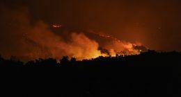 Nighttime view of a forest fire.