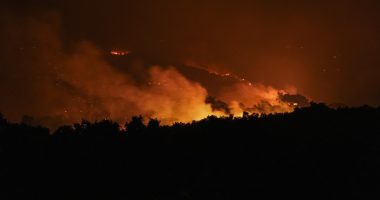 Nighttime view of a forest fire.
