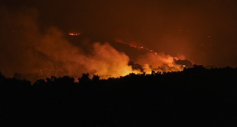 Nighttime view of a forest fire.
