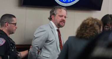 Dentist James Craig being led away in handcuffs after his murder trial verdict.