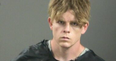 Mugshot of James Andrew McGann.