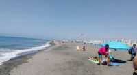 Beach scene with people sunbathing and swimming.