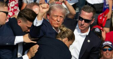 Donald Trump reveals how surviving assassin's bullet has affected him