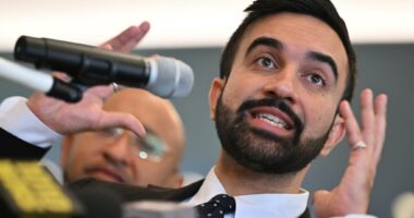Donald Trump’s ‘dream’ Democrat, the left embraces radical Islam and other commentary