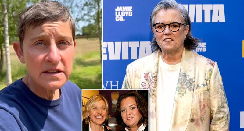 Ellen DeGeneres shows support for Rosie O'Donnell after Trump threat