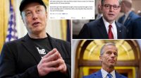 Elon Musk teases plans for 'America Party' after fury over Big, Beautiful Bill Act