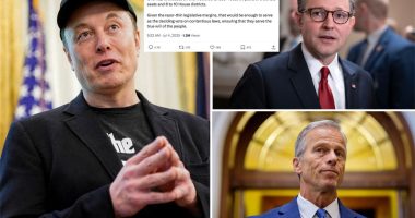 Elon Musk teases plans for 'America Party' after fury over Big, Beautiful Bill Act