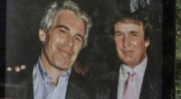 Epstein brother: White House claim 'blatant lie'