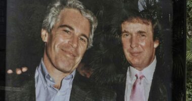 Epstein brother: White House claim 'blatant lie'