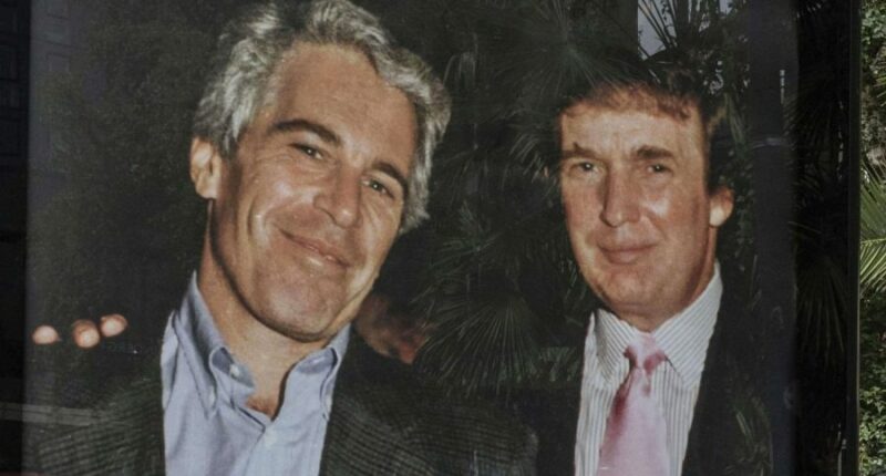 Epstein brother: White House claim 'blatant lie'