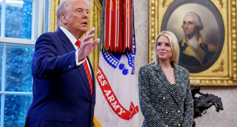Epstein 'cover-up' civil war exposes deep fractures and dirty secrets