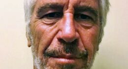 Headshot of Jeffrey Epstein.